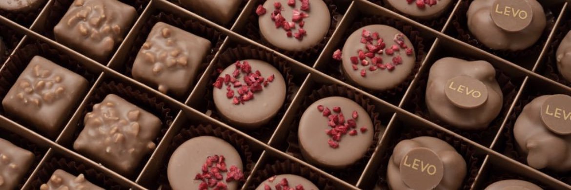 levochocolate's profile banner image