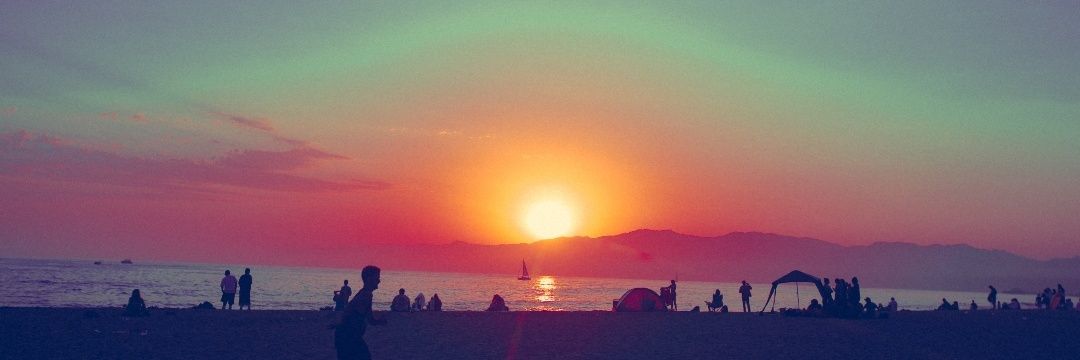pineapplesilike's profile banner image