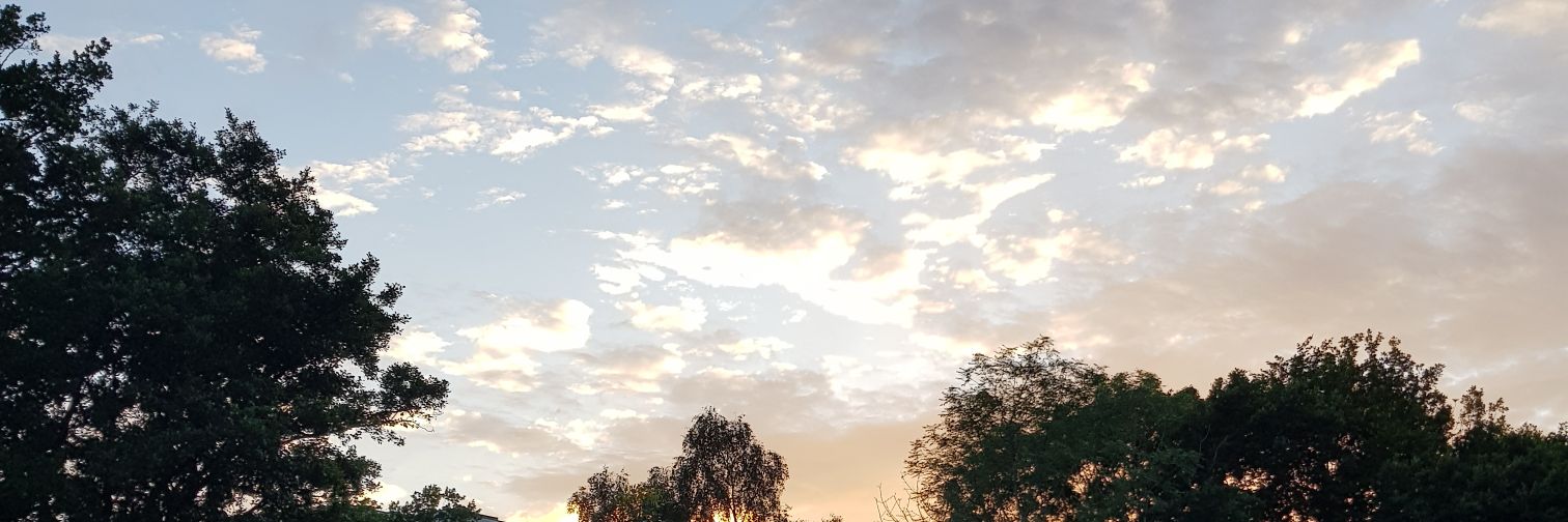 Inaholmen's profile banner image