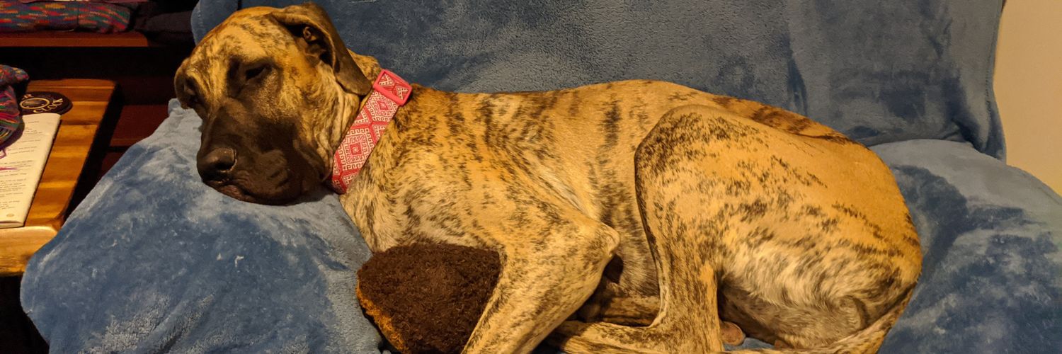 Ryan_not_Bryan Smith banner