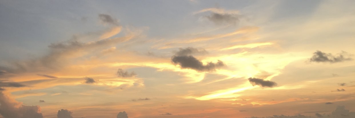 taylorene_'s profile banner image