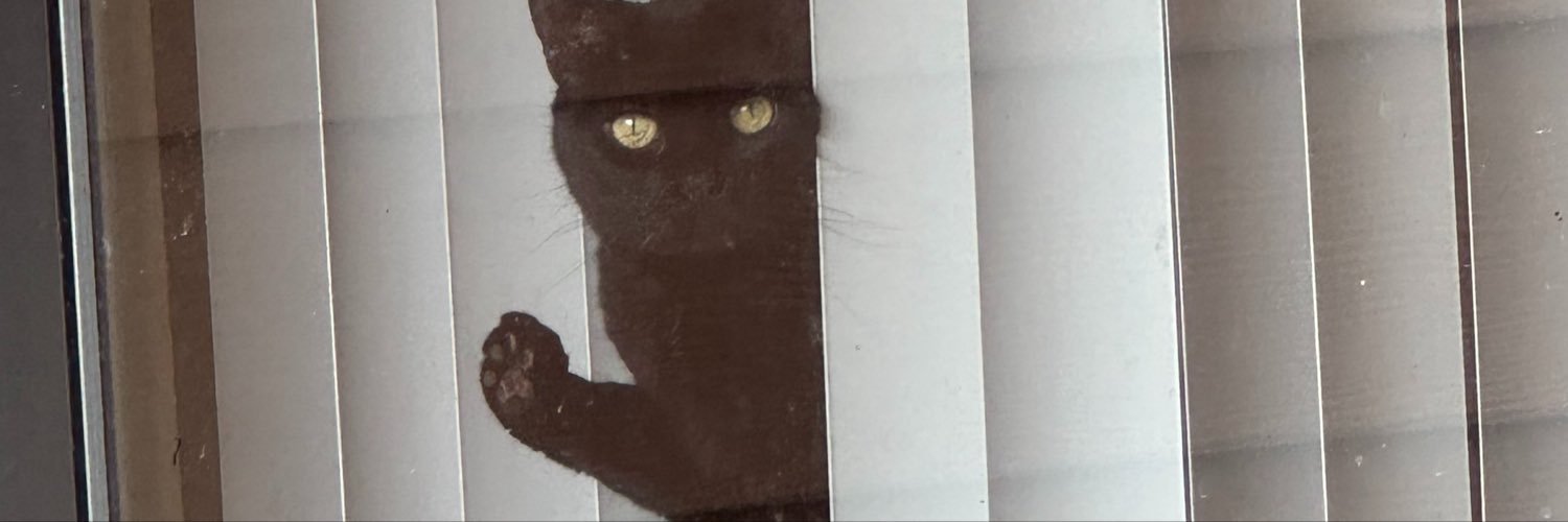 CarolanLogan's profile banner image