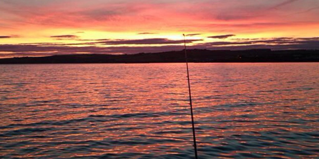 fish_that's profile banner image