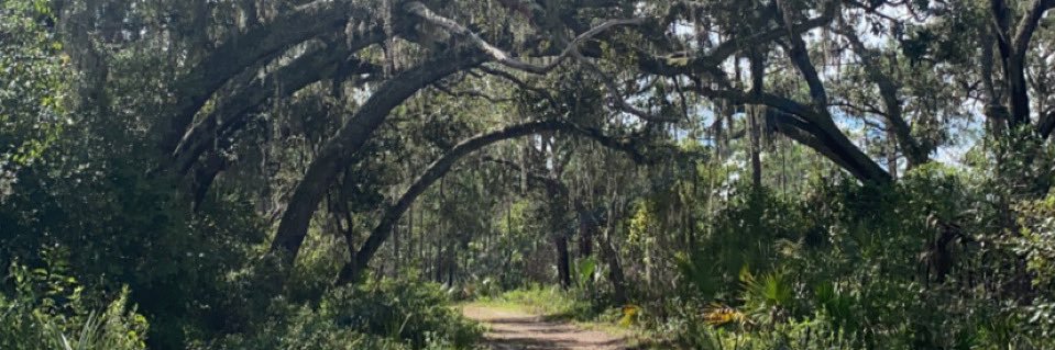 ChelseaHTV's profile banner image