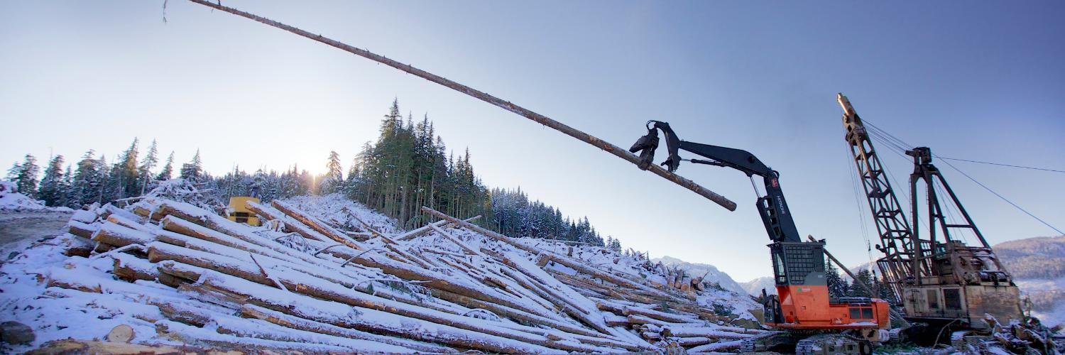 NewcastleTimber's profile banner image