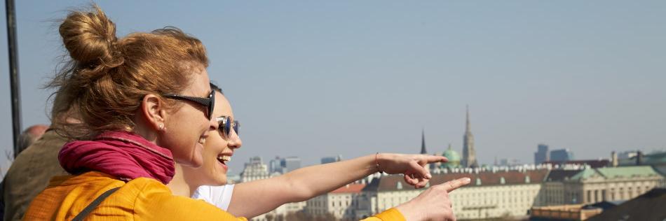 vienna_hosts's profile banner image