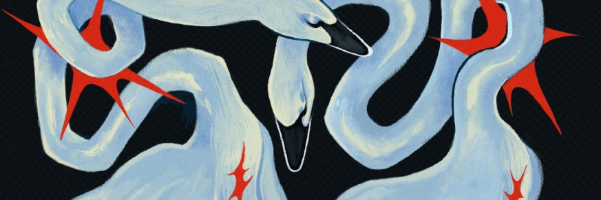 luzt00's profile banner image