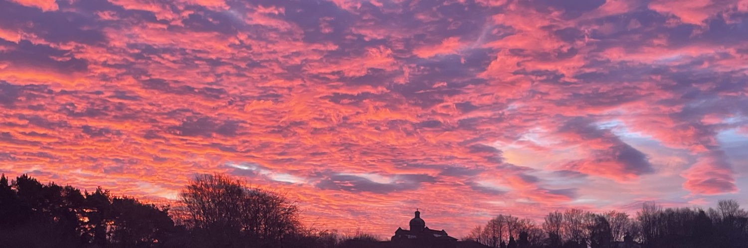 Kate Collins 🦋 @katecollinsuk.bsky.social banner