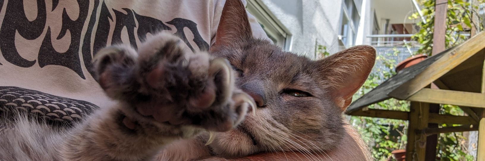 LupoMetaKater's profile banner image