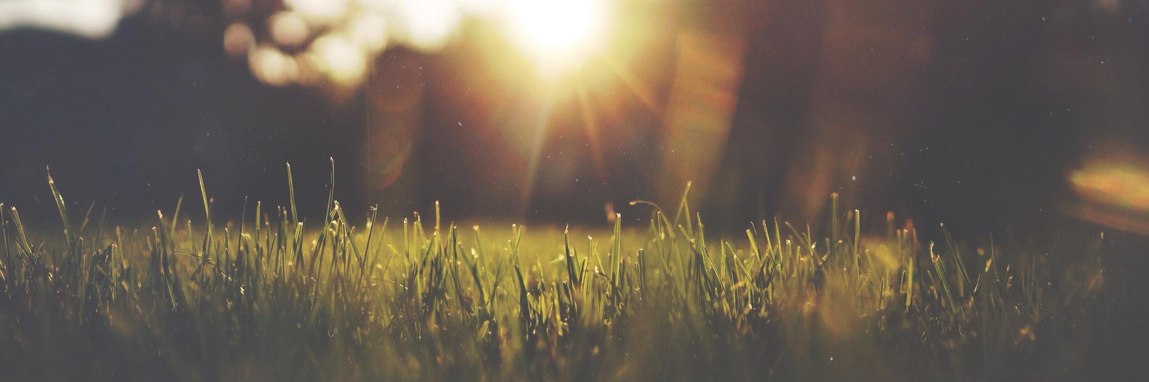 barefootnicole's profile banner image