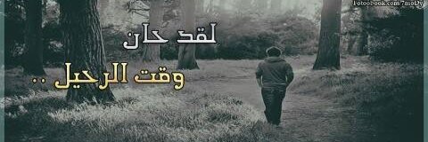 hf_e11's profile banner image