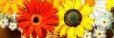 tradingtomax's profile banner image