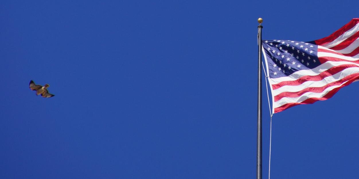 eidskrem's profile banner image