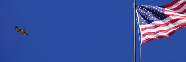 eidskrem Profile Banner