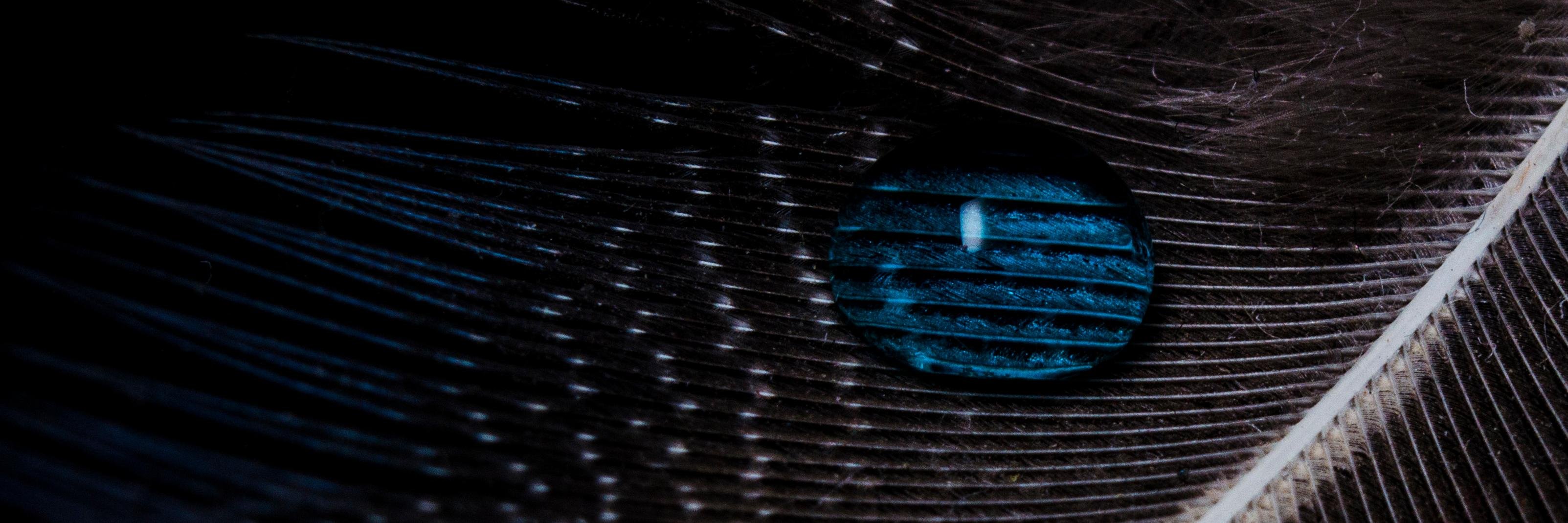 Apix_Photo's profile banner image