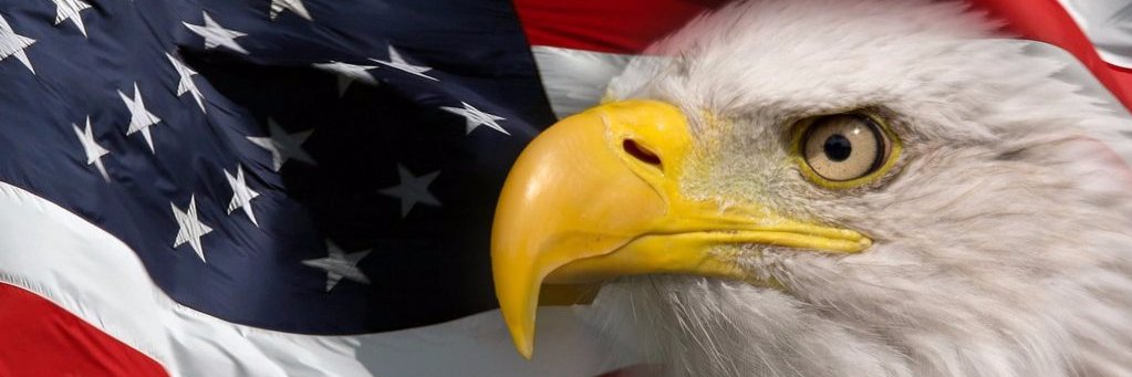 dtrimble2012's profile banner image