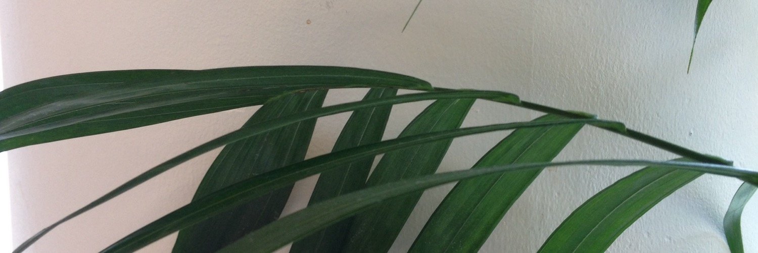 Simplebehavior's profile banner image