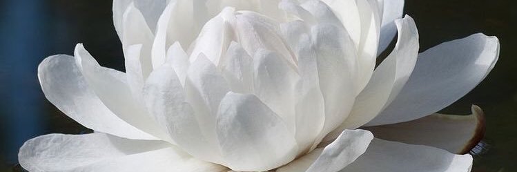 MarieHdb's profile banner image