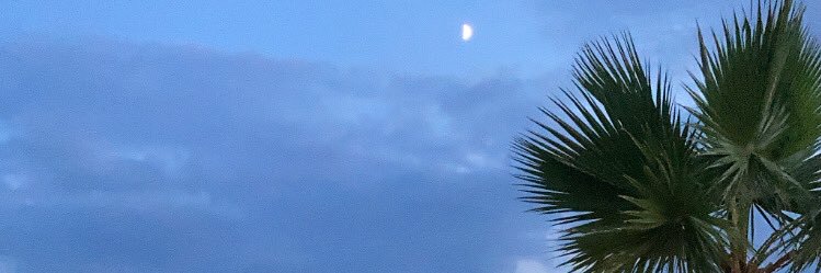 visionarygi's profile banner image