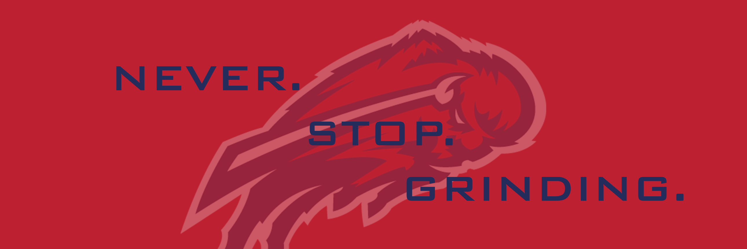 Buffalo_Gaming's profile banner image