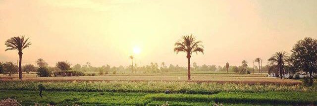 Ahmed banner