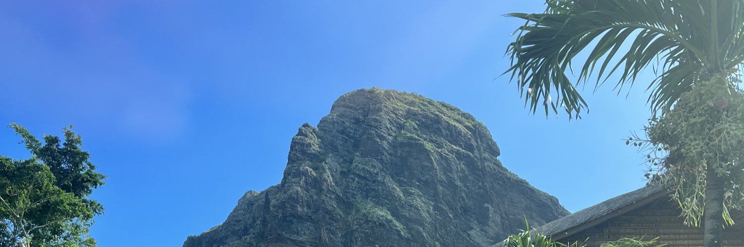 elaurydides's profile banner image