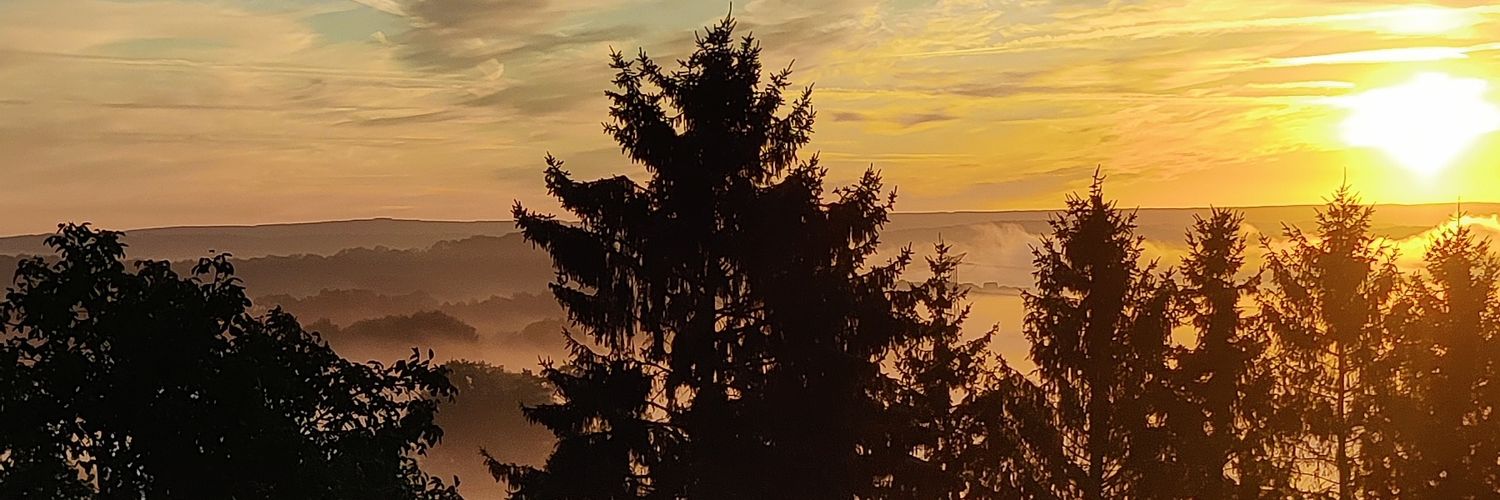 Ch_Dechamps's profile banner image