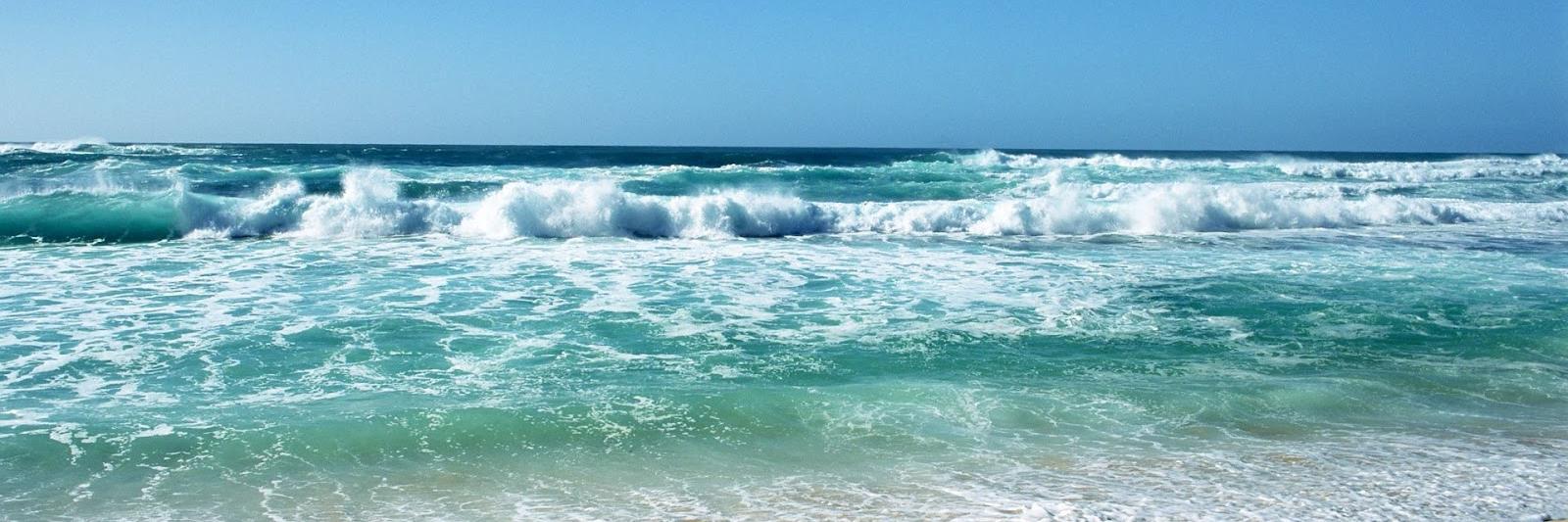 FarggiBeach's profile banner image