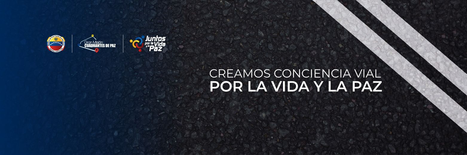 acariguaintt's profile banner image