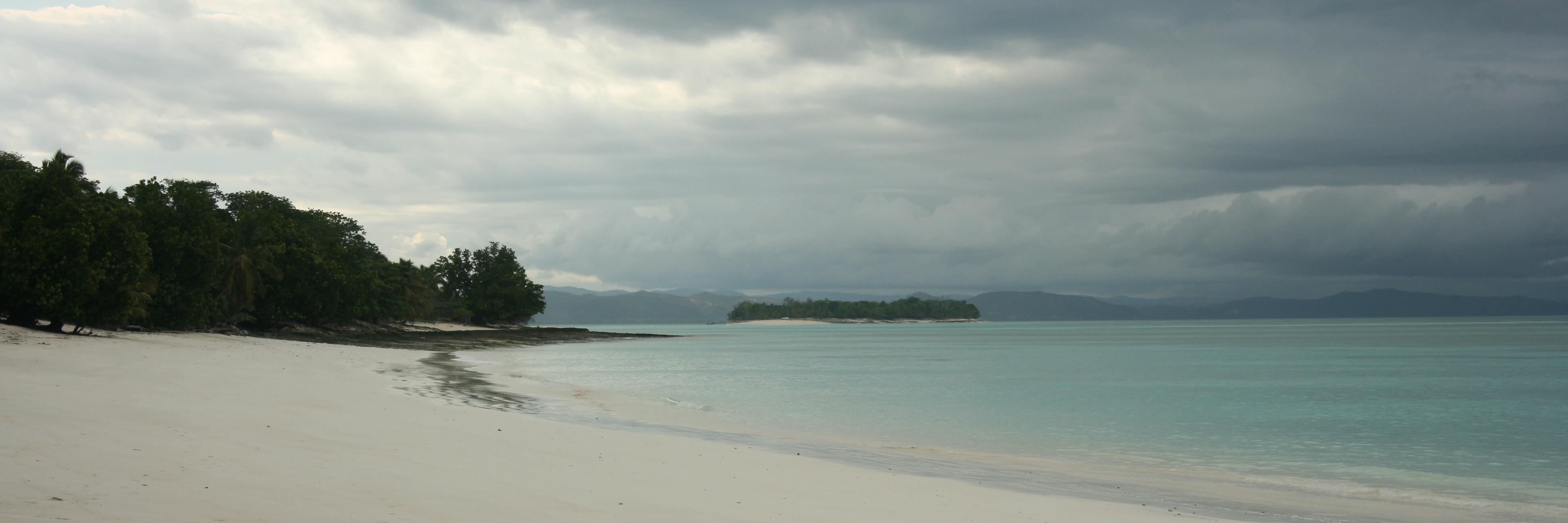 frankortmann's profile banner image