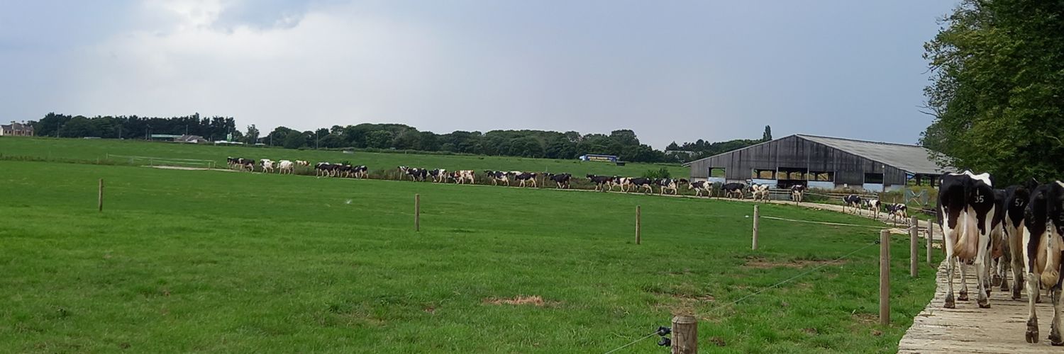 Cowman_44's profile banner image