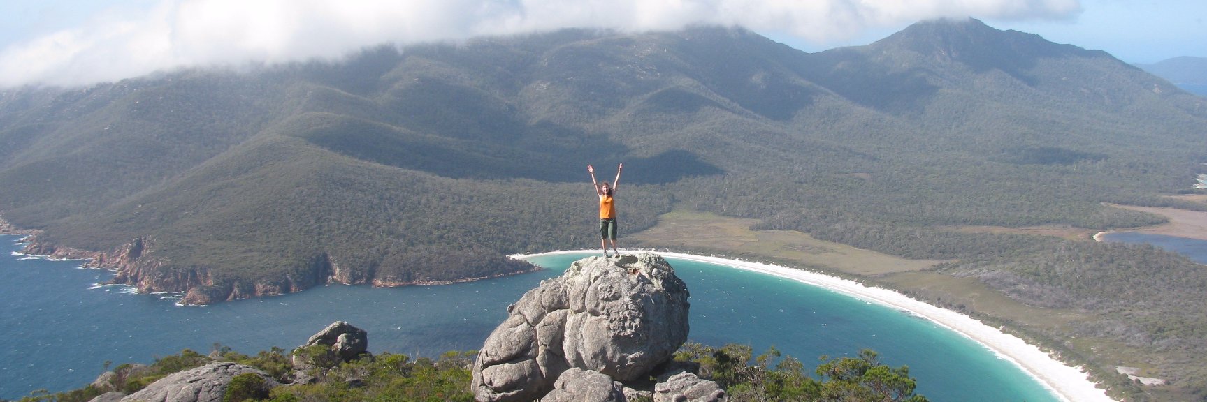 Annie Loggins banner