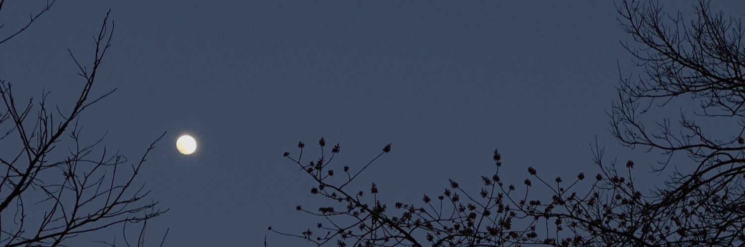 RickyOMFG's profile banner image