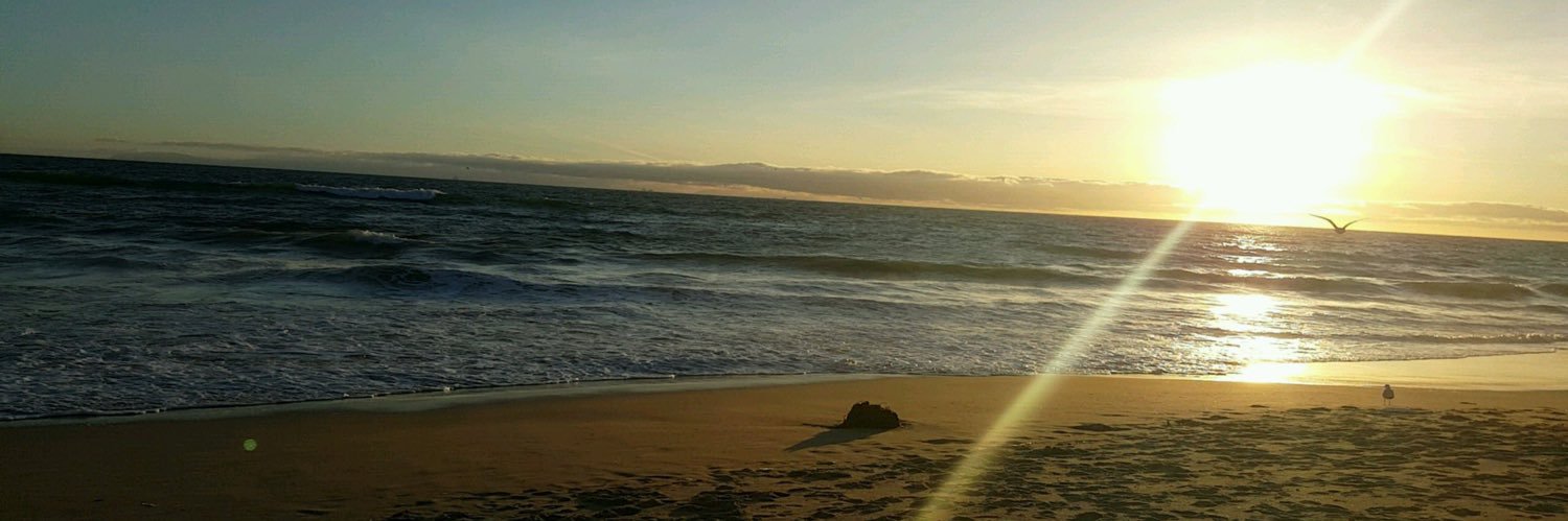 tht_kid_devon's profile banner image