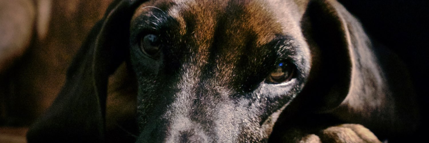 Carloawake's profile banner image