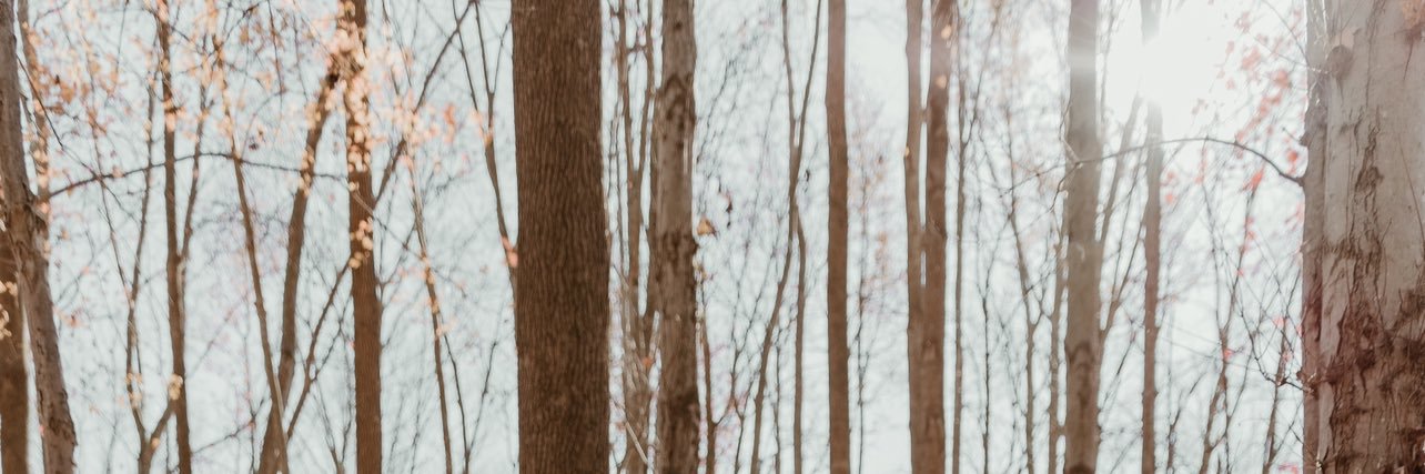 ashleemjo's profile banner image