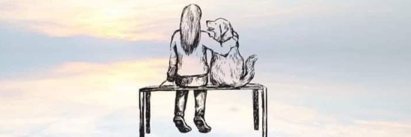 sheisupnorth's profile banner image