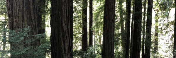 joshuawknowles Profile Banner