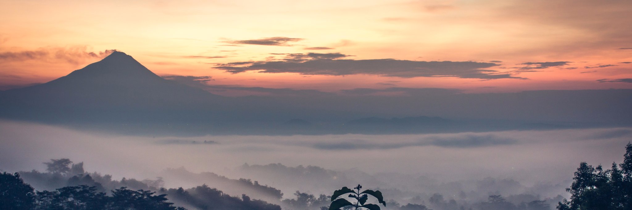 Romain Le Callonnec banner