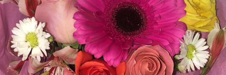 G_betth's profile banner image