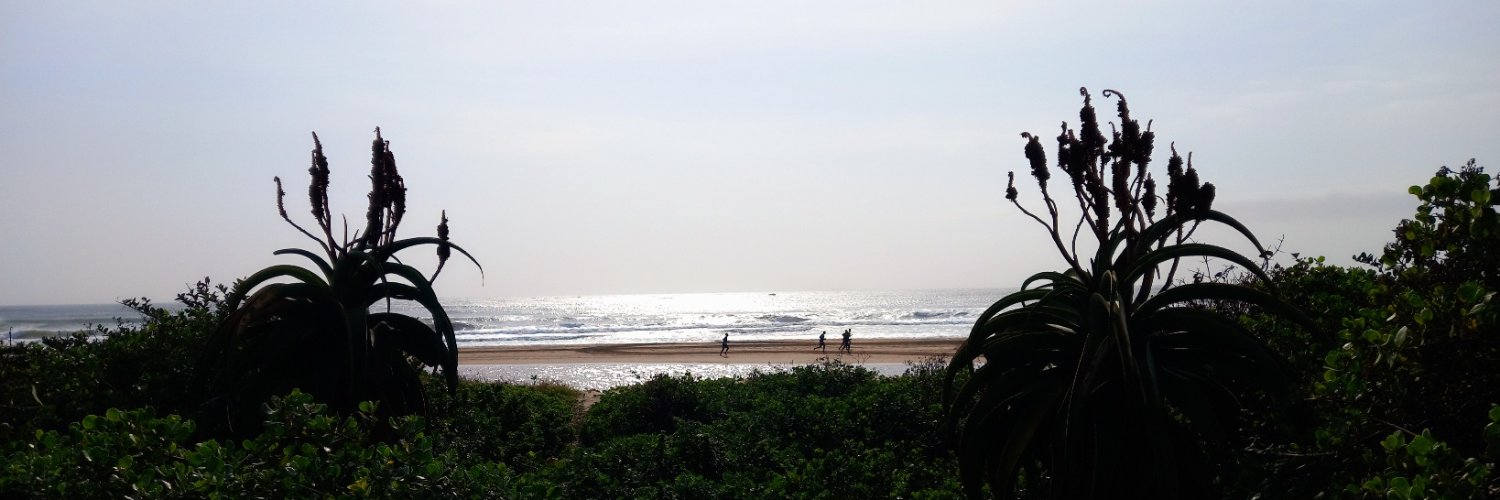 Dennis Langton banner