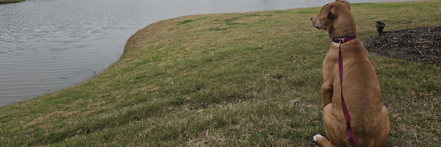 Commander_Helix's profile banner image