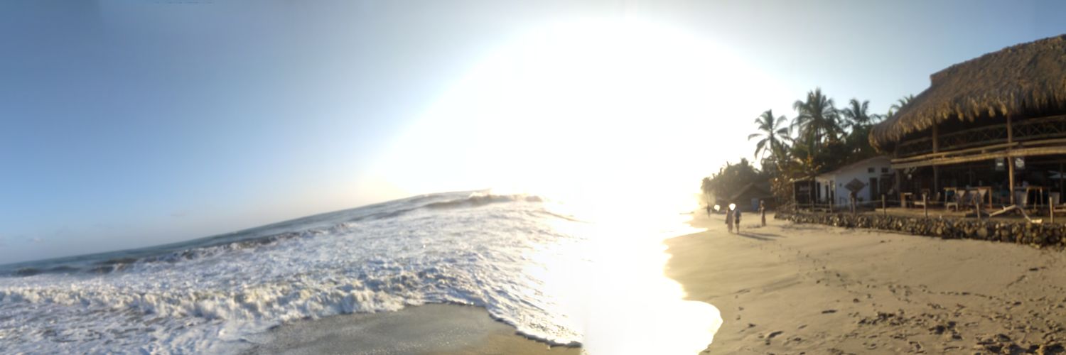 Monica Coronel S banner