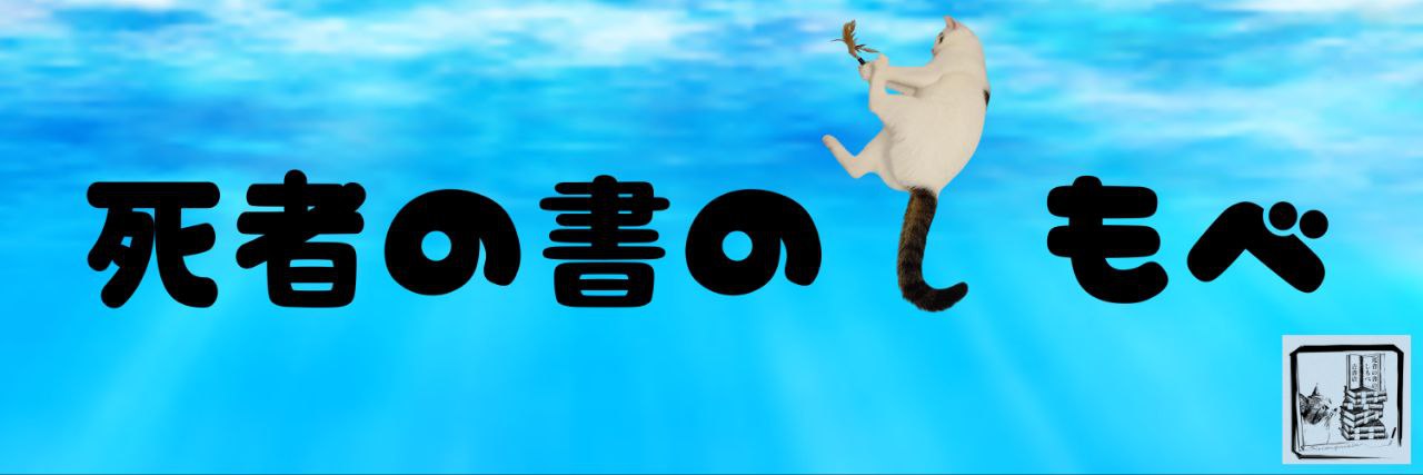 平和が大好きなせるらいと🐳成果出るまで低浮上 banner