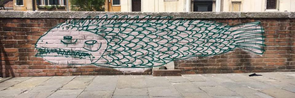 Blake Paterson banner