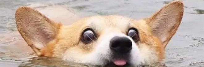 nin_machine's profile banner image