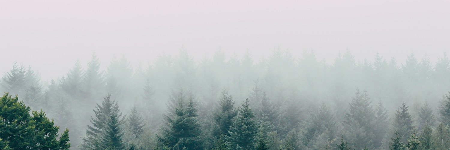 Sam Kirschner banner