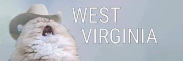 Ally_Knight14's profile banner image