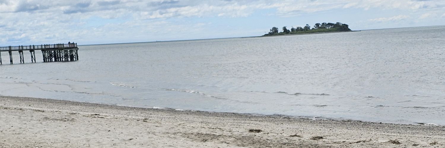 MilfordBeachBum 🏖 banner