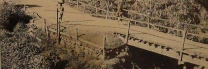 Oohgidi's profile banner image